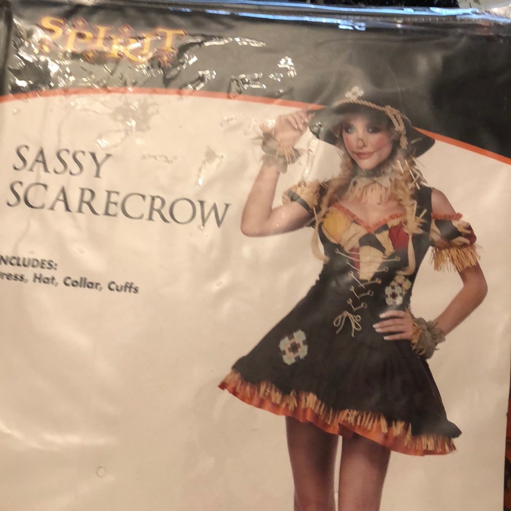 Halloween costume Spitit
